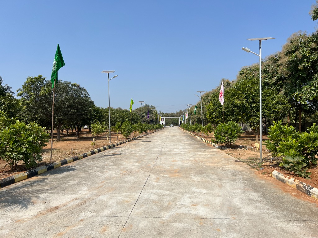 CC Road 2